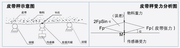 寧德皮帶秤